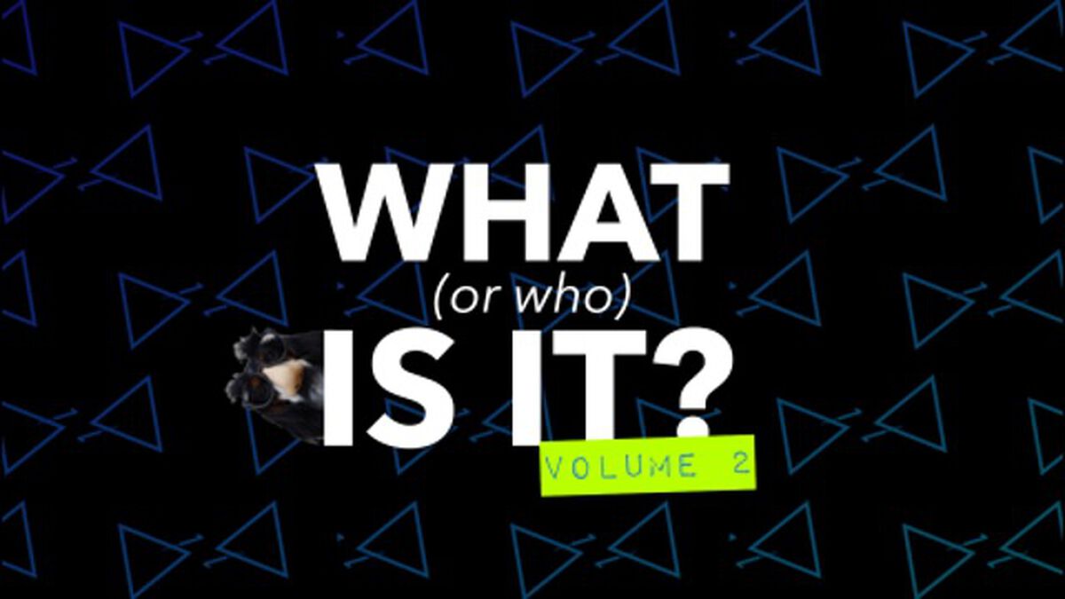 What or Who Is It? Volume 2 image number null